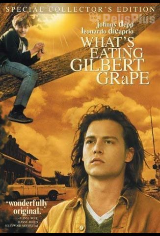 ¿A quién ama Gilbert Grape?