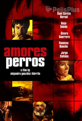 Amores Perros