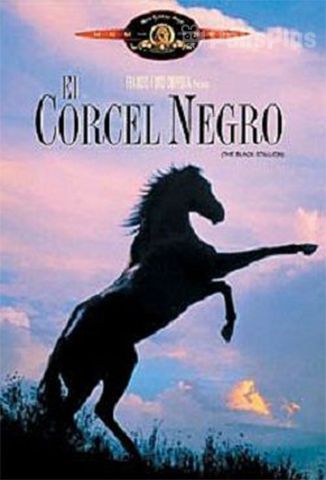 El Corcel Negro