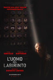 El hombre del laberinto