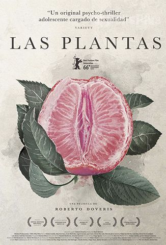 Las Plantas