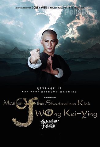 Master of Shadowless Kick: Wong Kei-Ying