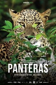 Panteras: Viviendo entre felinos