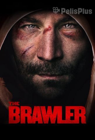 The Brawler